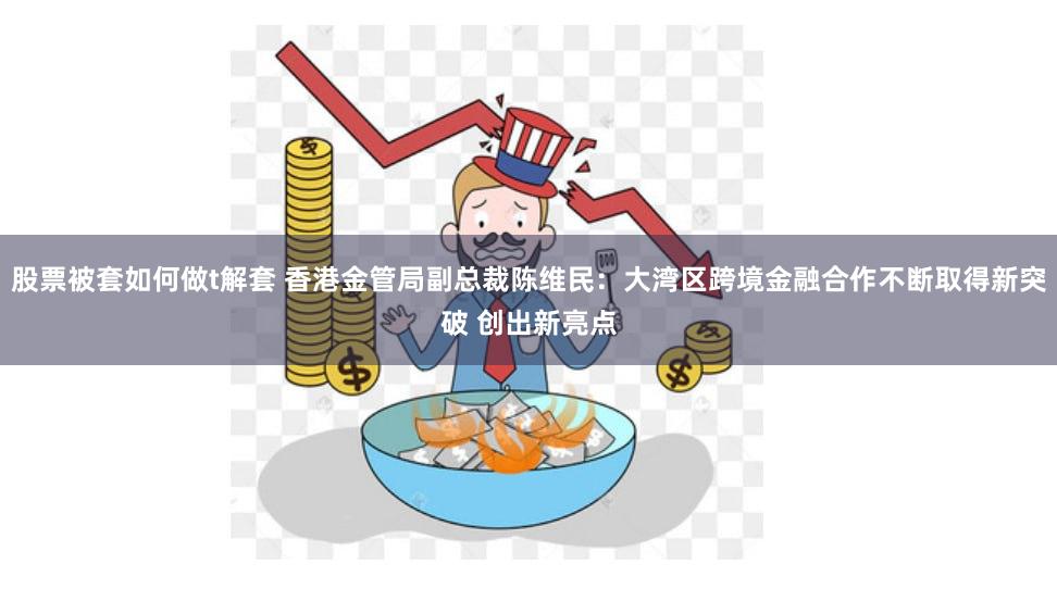 股票被套如何做t解套 香港金管局副总裁陈维民：大湾区跨境金融合作不断取得新突破 创出新亮点
