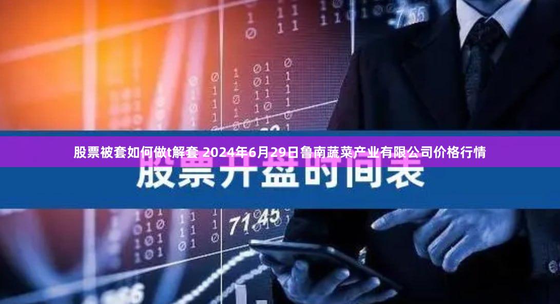 股票被套如何做t解套 2024年6月29日鲁南蔬菜产业有限公司价格行情