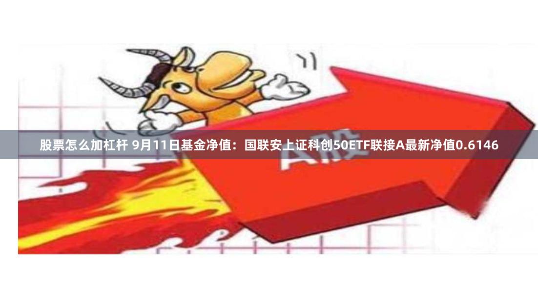 股票怎么加杠杆 9月11日基金净值：国联安上证科创50ETF联接A最新净值0.6146
