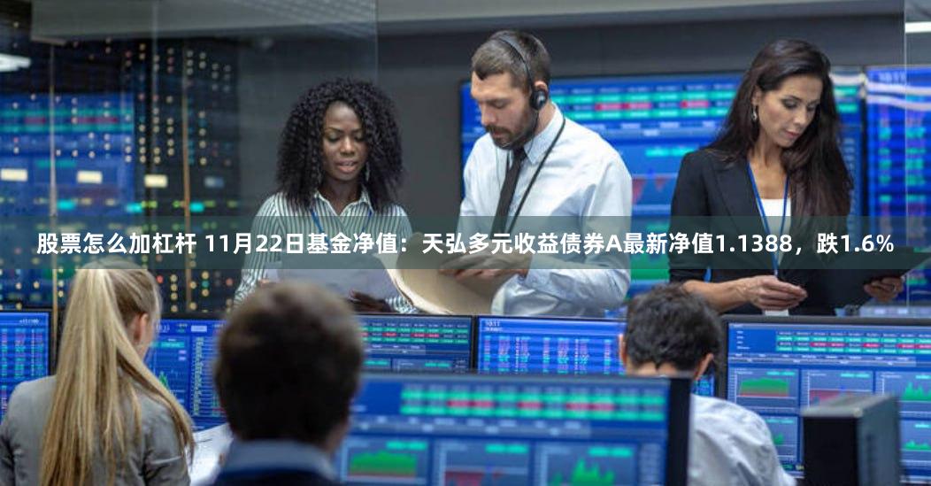 股票怎么加杠杆 11月22日基金净值：天弘多元收益债券A最新净值1.1388，跌1.6%