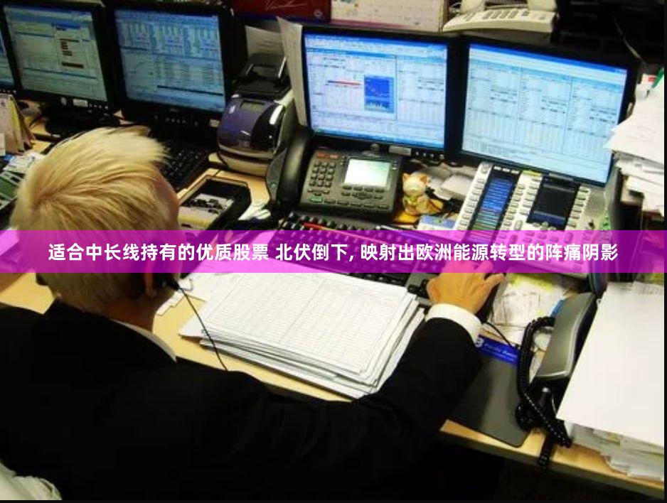 适合中长线持有的优质股票 北伏倒下, 映射出欧洲能源转型的阵痛阴影
