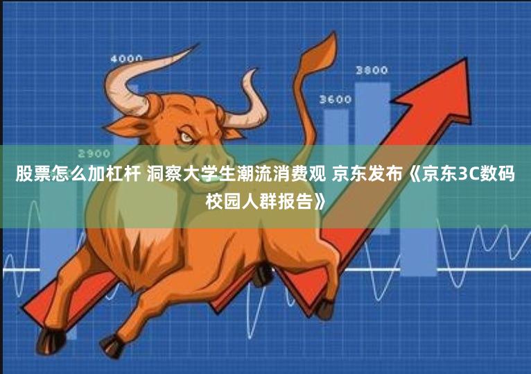股票怎么加杠杆 洞察大学生潮流消费观 京东发布《京东3C数码校园人群报告》